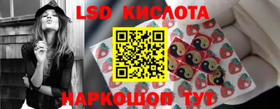 индика Кандалакша