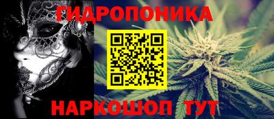 индика Кандалакша