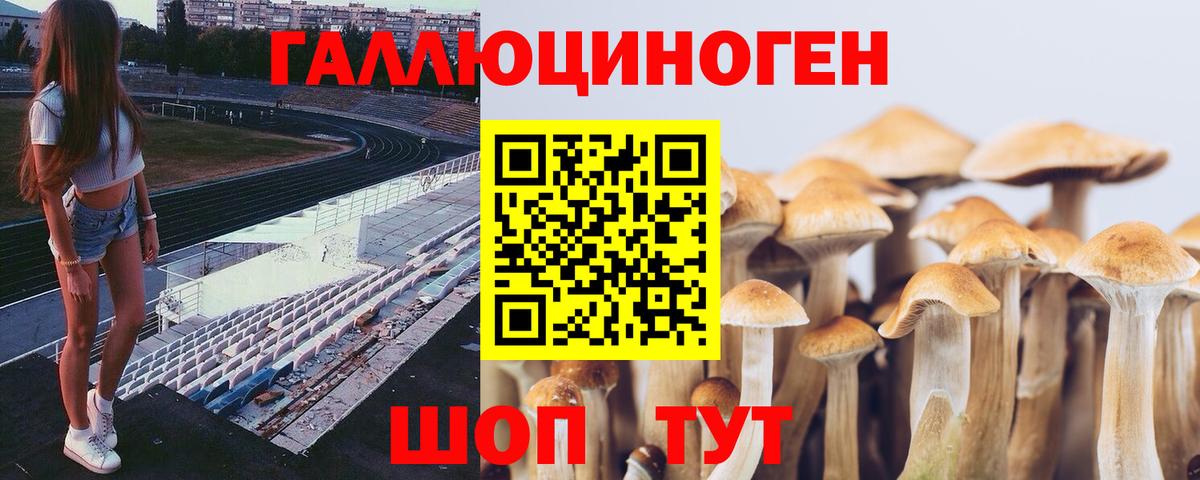 Галлюциногенные грибы Psilocybe  Вход с VPN  Красногорск 